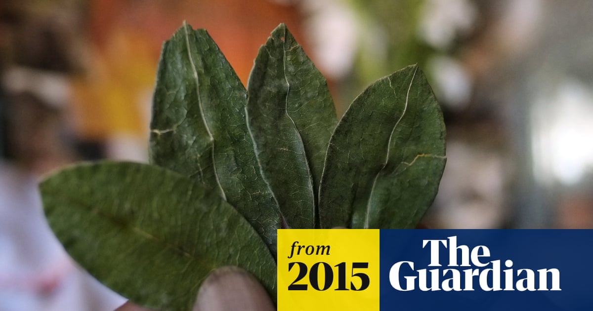 what is a safe alternative to chewing tobacco Tobacco: No Healthy Alternative what is a safe alternative to chewing tobacco Tobacco: No Healthy Alternative