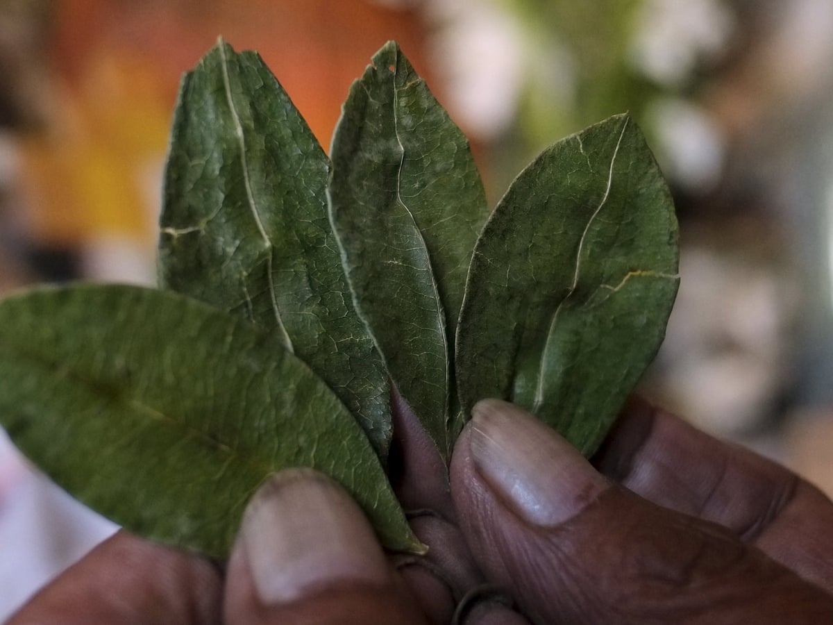 is pipe tobacco different from rolling tobacco Pipe Tobacco vs Rolling Tobacco: Key Differences Explained is pipe tobacco different from rolling tobacco Pipe Tobacco vs Rolling Tobacco: Key Differences Explained