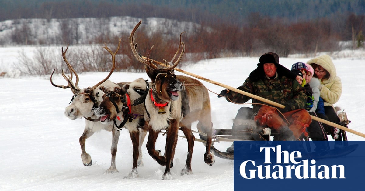 Weatherwatch: reindeer adapted to snow but not climate change - The Guardian