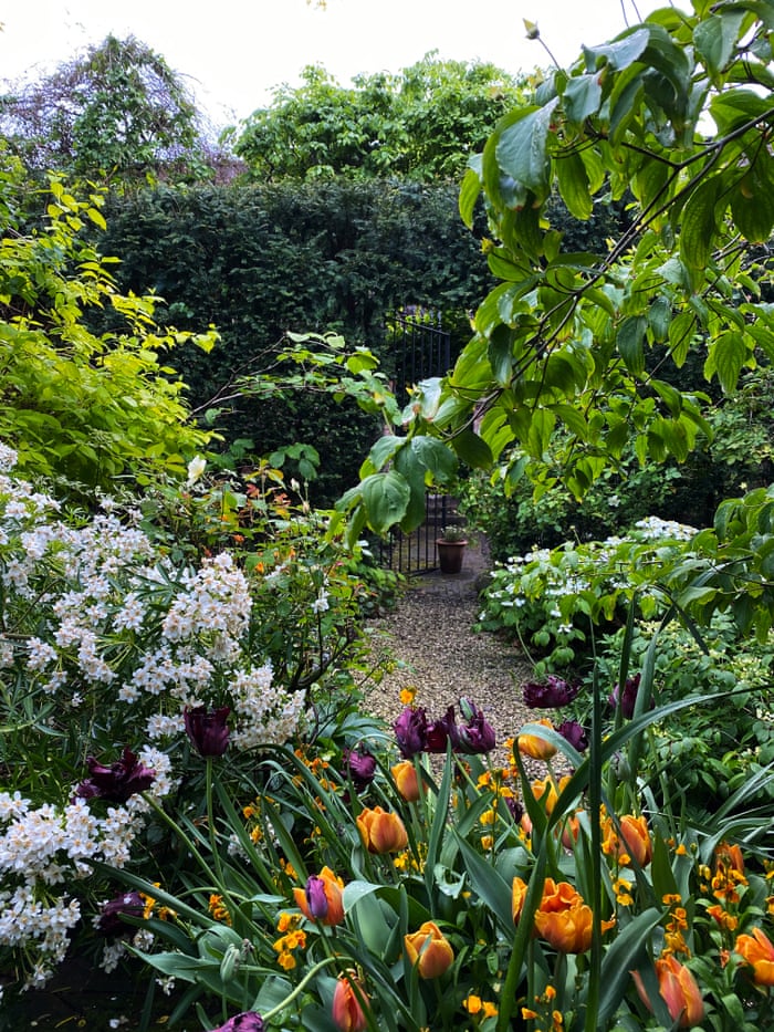 I Feel As If My Garden Has Finally Come Of Age Nigel Slater Life And Style The Guardian