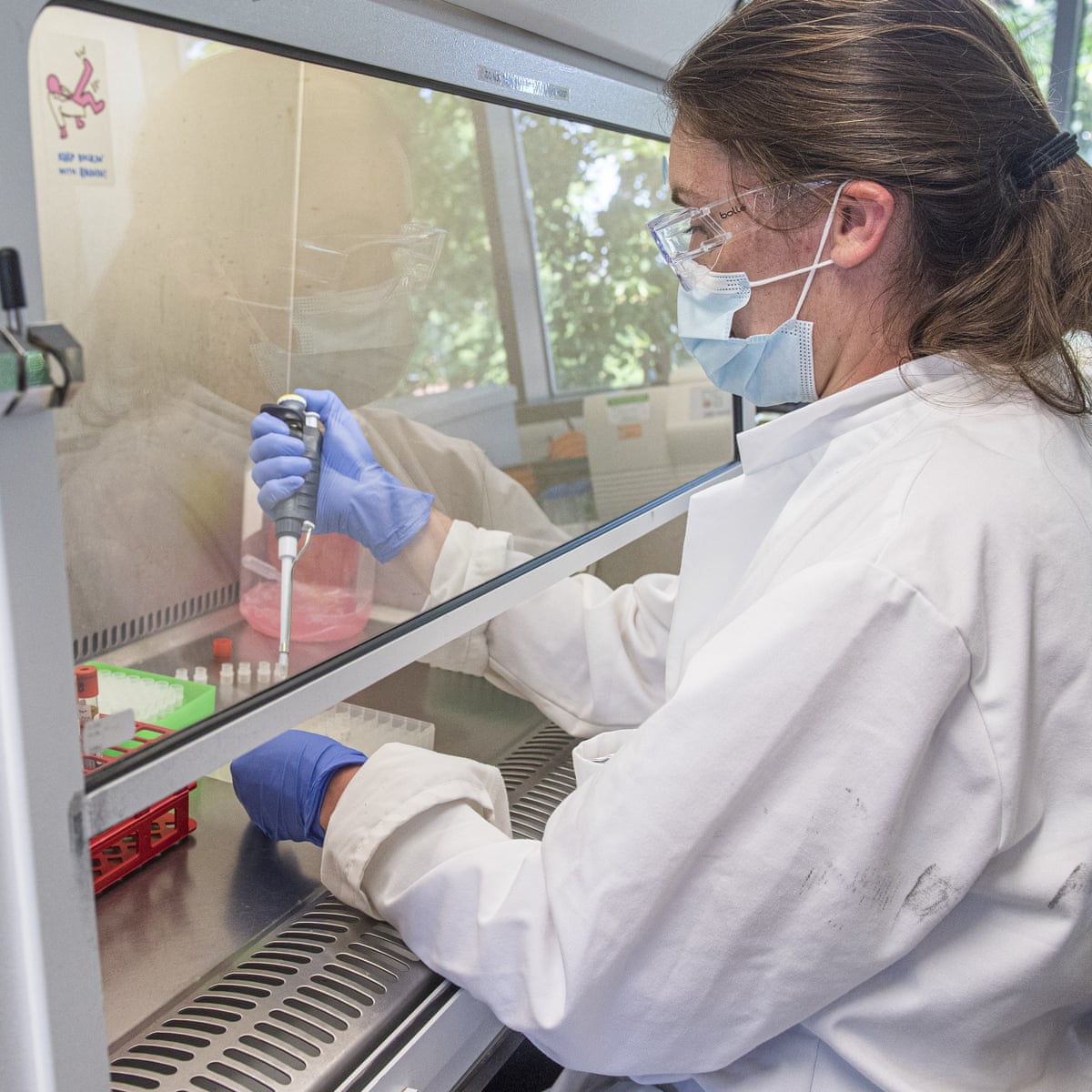 Oxford Coronavirus Vaccine Triggers Immune Response Trial Shows World News The Guardian
