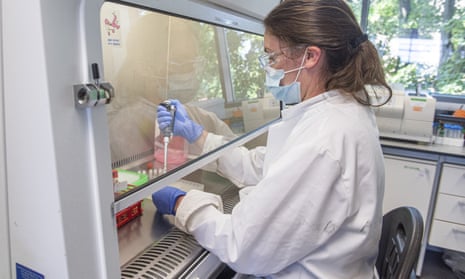 Trial samples are handled inside the Oxford Vaccine Group laboratory at Oxford University.