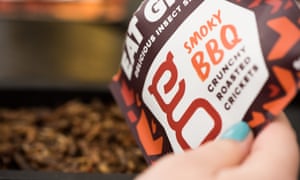 Grub's up: roasted crickets to go on sale at London food chain 7360