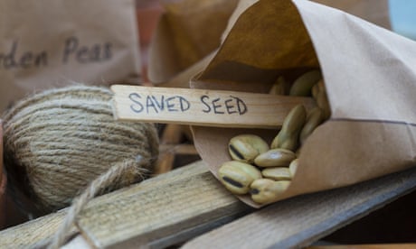 Seeds must: make a sowing plan now, and reap the benefits once winter is over