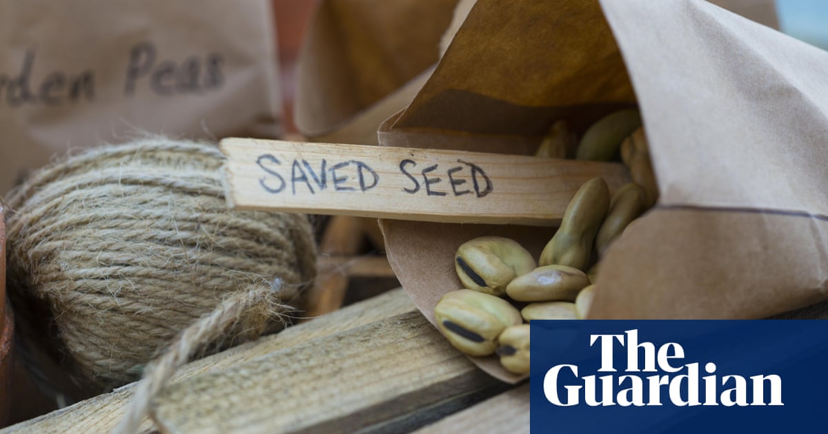 Seeds Must Make A Sowing Plan Now And Reap The Benefits Once