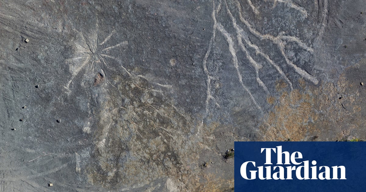 World's oldest known fossil forest found in New York quarry