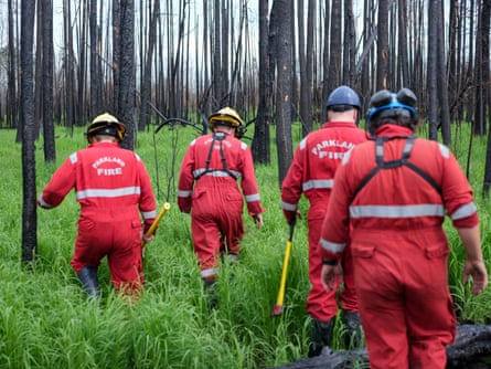 Parkland county fire volunteer members moving through a fire-damaged area near the community of Entwistle. In recent weeks and spurred by heavy rainfall, the forest ground has regenerated creating wet conditions and tall grasses.