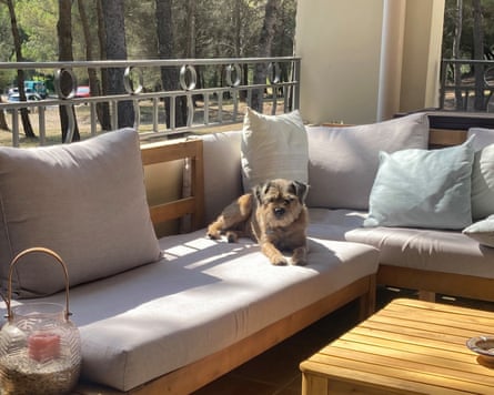Missy didn’t want to walk, and didn’t like being left at the house either.