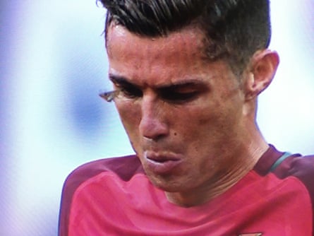 A Silver Y moth drinking Cristiano Ronaldo’s tears in 2016.