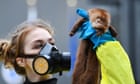 Cabinet row as plan to ban fur and fois gras trade scrapped by PM