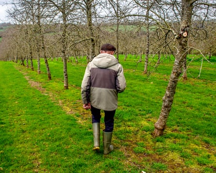 Beekeeper Richard Bray at Haywood farm, St Mabyn, Cornwall