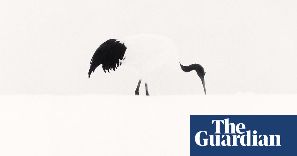 A form of meditation': a photographic haiku to Japan in pictures