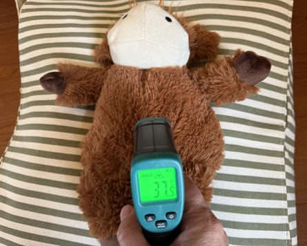 An infrared thermometer is used to temperature check a cow hot-water bottle