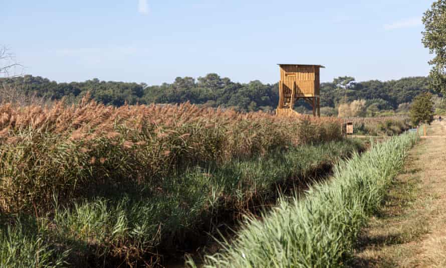 A bird hide at Les Barthes de Monbardon wetland.