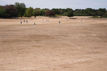 People playing cricket on a large expanse of brown grass