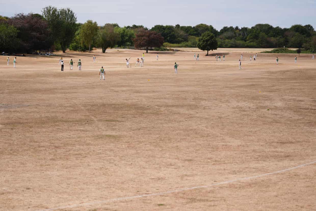 People playing cricket on a large expanse of brown grass