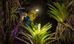 Bela Barata with one of the bromeliads that host the frog.