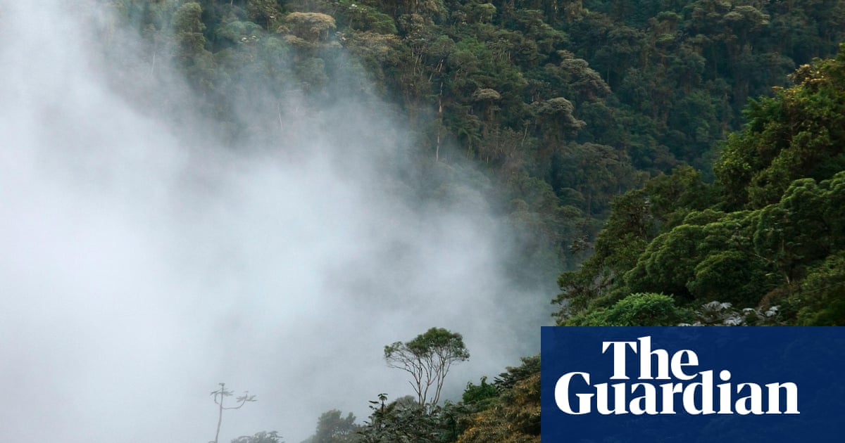 Plans to mine Ecuador forest violate rights of nature, hofreëls