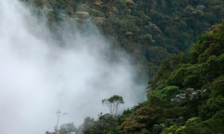 Fog on the western slope of the Andes mountains in Ecuador. Climate change has intensified the water cycle – the movement of water on Earth – by about twice as much as models had predicted, research shows.