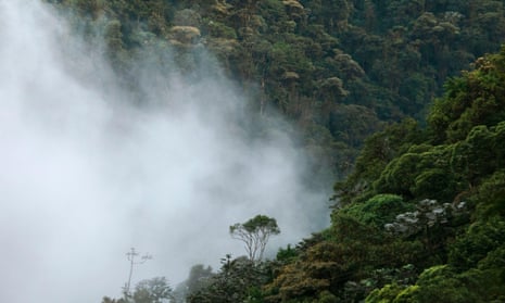 Fog on the western slope of the Andes mountains in Ecuador.