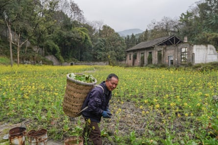 a man carries his crops in a basket on his back through a field with yellow flowers
