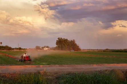 A farm worker ploughing a field, Blackwater, Arizona