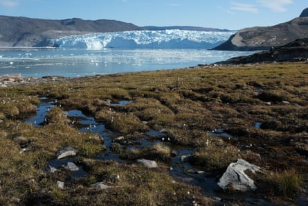 Water from the Greenland ice sheet flows through heather and peat as the Eqip Sermia Glacier stands behind during unseasonably warm weather in Greenland in 2019.