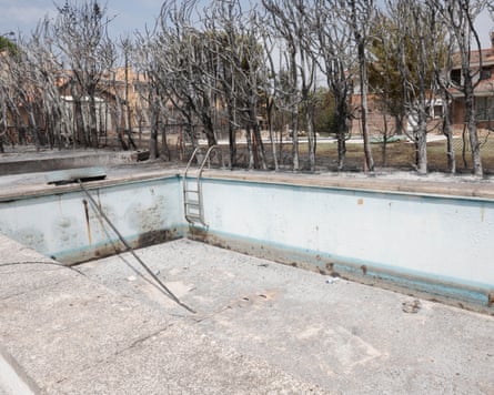 an empty pool surrounded by burnt trees