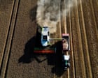 Global food prices at three-year high as heatwaves and wars push up crop costs