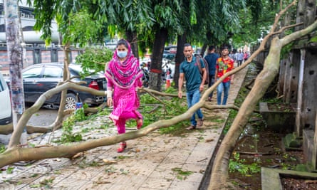 People walk past trees brought down by Cyclone Sitrang, Dhaka, Bangladesh.