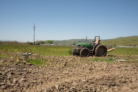 A worker drives a piece of farm equipment at the Catalán Family Farm.