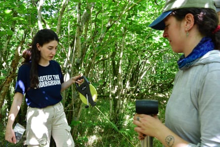 Two women holding a tape measure in a woodland glade