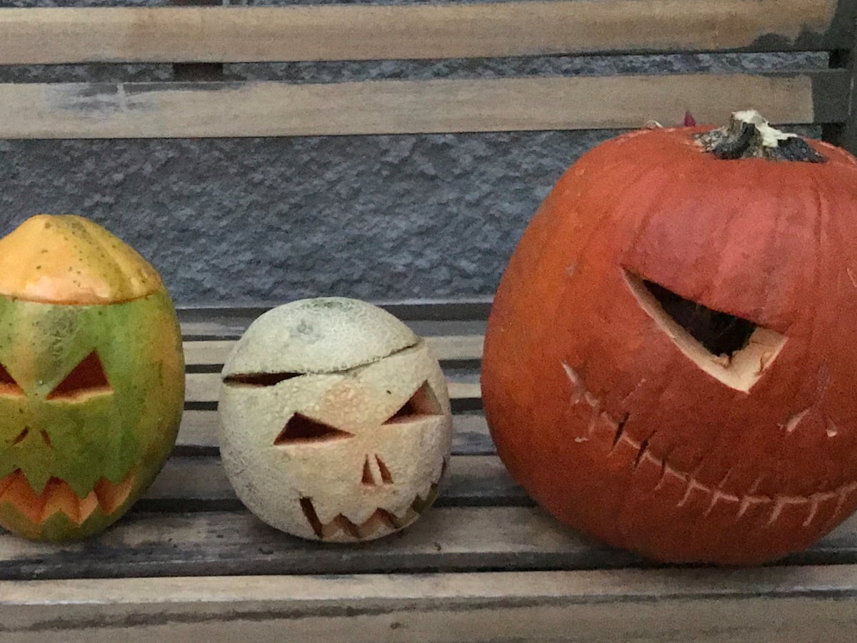 Halloween Fruit Ditch Pumpkins Australia Can Carve Its Own Spooky Traditions Halloween The Guardian Halloween Fruit Ditch Pumpkins Australia Can Carve Its Own Spooky Traditions Halloween The Guardian