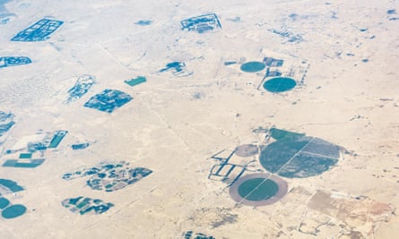 An aerial view of fields in the Qatari desert