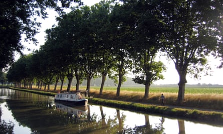Plane trees line the Canal du Midi at Le Somail.