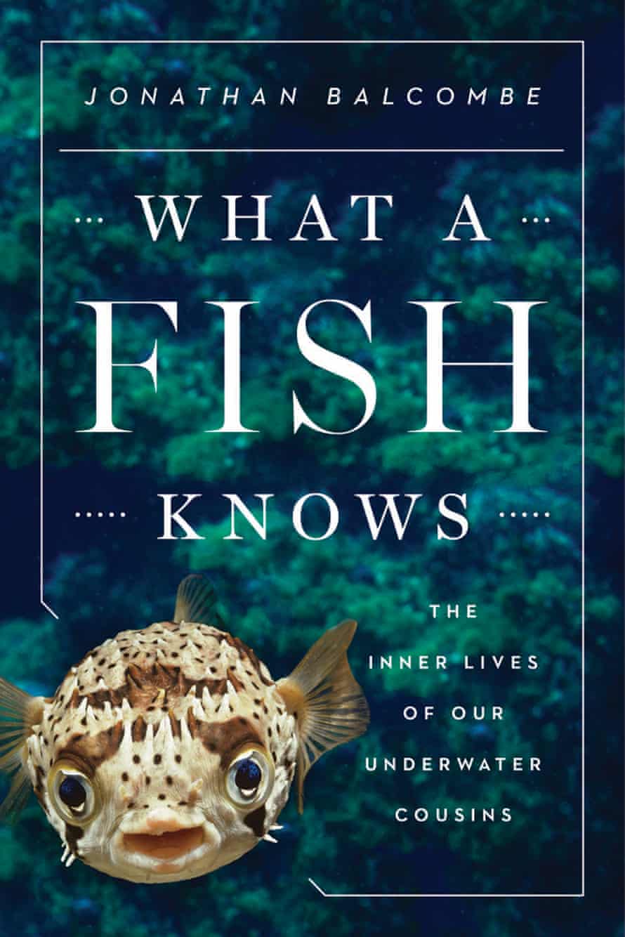 What a Fish Knows cover