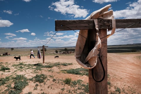 A man walks across dry terrain past a clothesline with three dogs surrounding him.