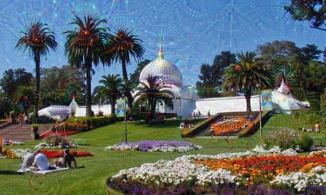 What LSD tells us about human nature