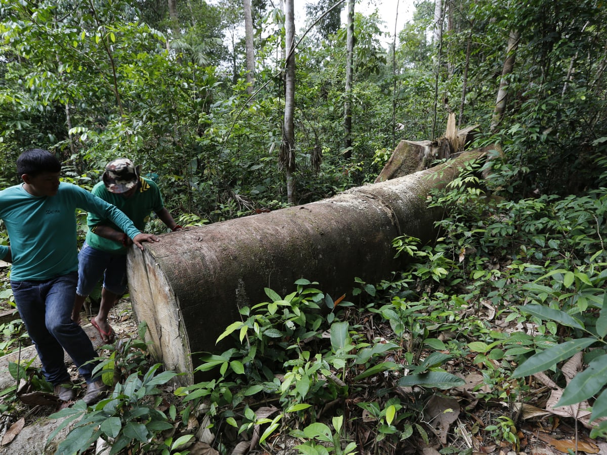 Brazilian Farmers Attack Indigenous Tribe With Machetes In Brutal Land Dispute World News The Guardian