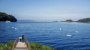 Artist’s impression of the groundbreaking habitat developed by the Whale Sanctuary Project.