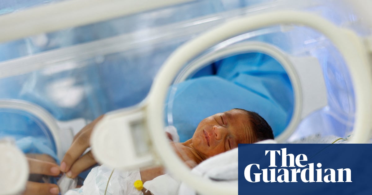 Gaza war leads to 41% fall in births prompting allegations of reproductive violence