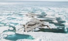Scientists discover 'world's northernmost island' off Greenland's coast