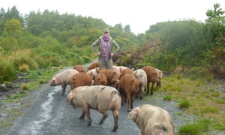Dr Karen Wicks with pigs