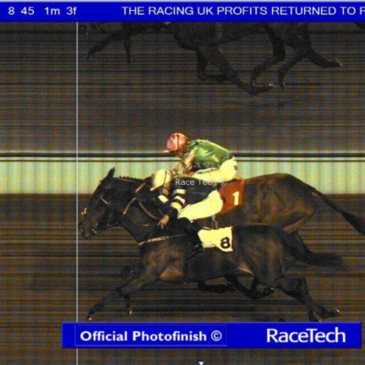 bha apologises for latest blunder in kempton park photo finish error royal ascot the guardian