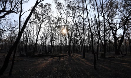 As The Long Bushfire Battle Goes On In Northern Nsw A Brief Respite For Christmas Lunch Bushfires The Guardian