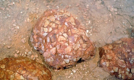 Fossilised titanosaurus dinosaur eggs.