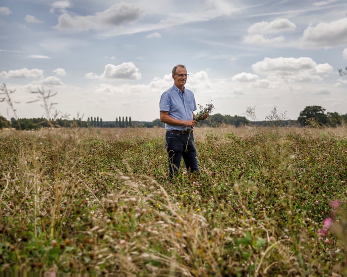 ‘Worst we’ve known’: UK turns to imports as drought and heat hit vegetable crops — image supplied by The Guardian Business's feed