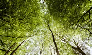 The new “green taxonomy” law would enable the EU to set science-based criteria for what kind of investments can be marketed as “environmentally sustainable”.