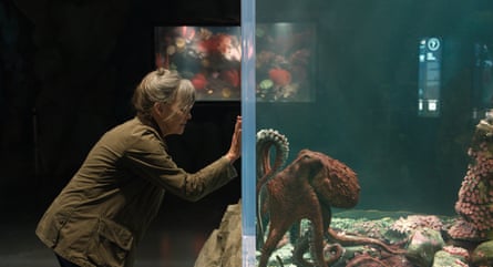 Sally Field befriends an octopus in Remarkably Bright Creatures on Netflix.