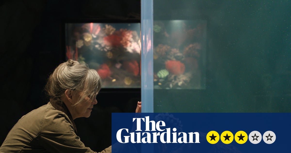 Remarkably Bright Creatures review – Sally Field bonds with octopus in gentle Netflix charmer
